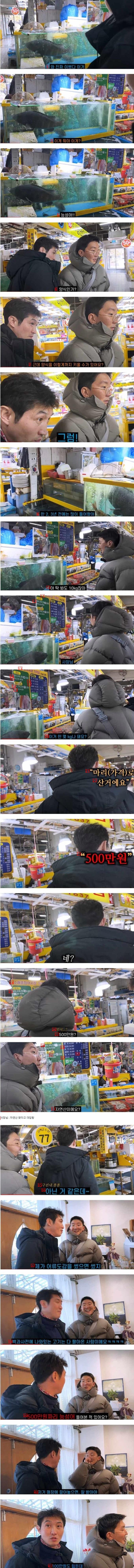 소래포구 500만원 짜리 능성어.jpg