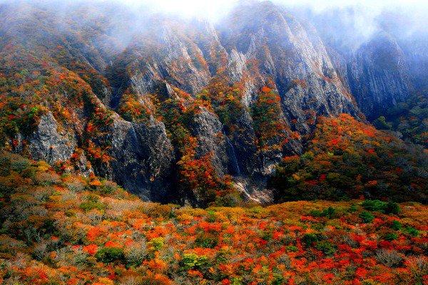 한국의 흔한 산