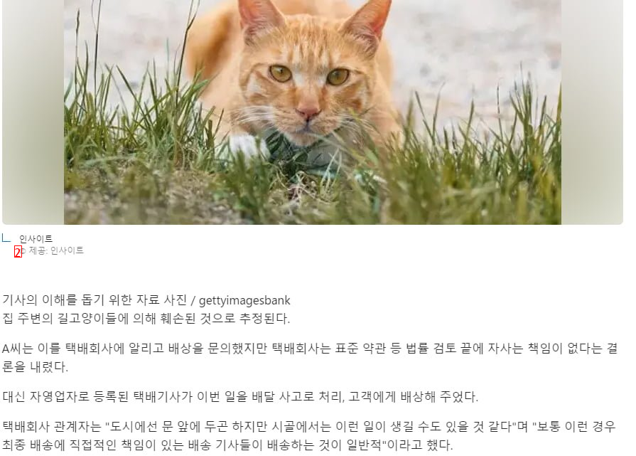 野良猫がかじって食べた韓牛ギフトセット ㄷㄷ.jpg