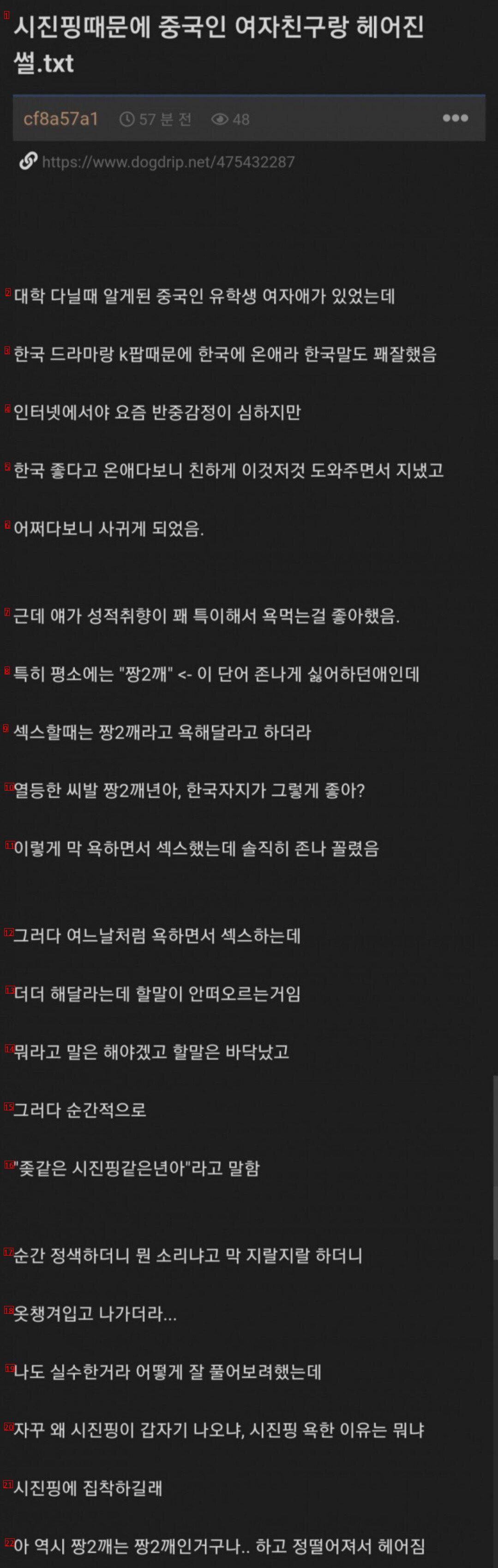 시진핑 때문에 중국인 여자친구와 헤어진 썰