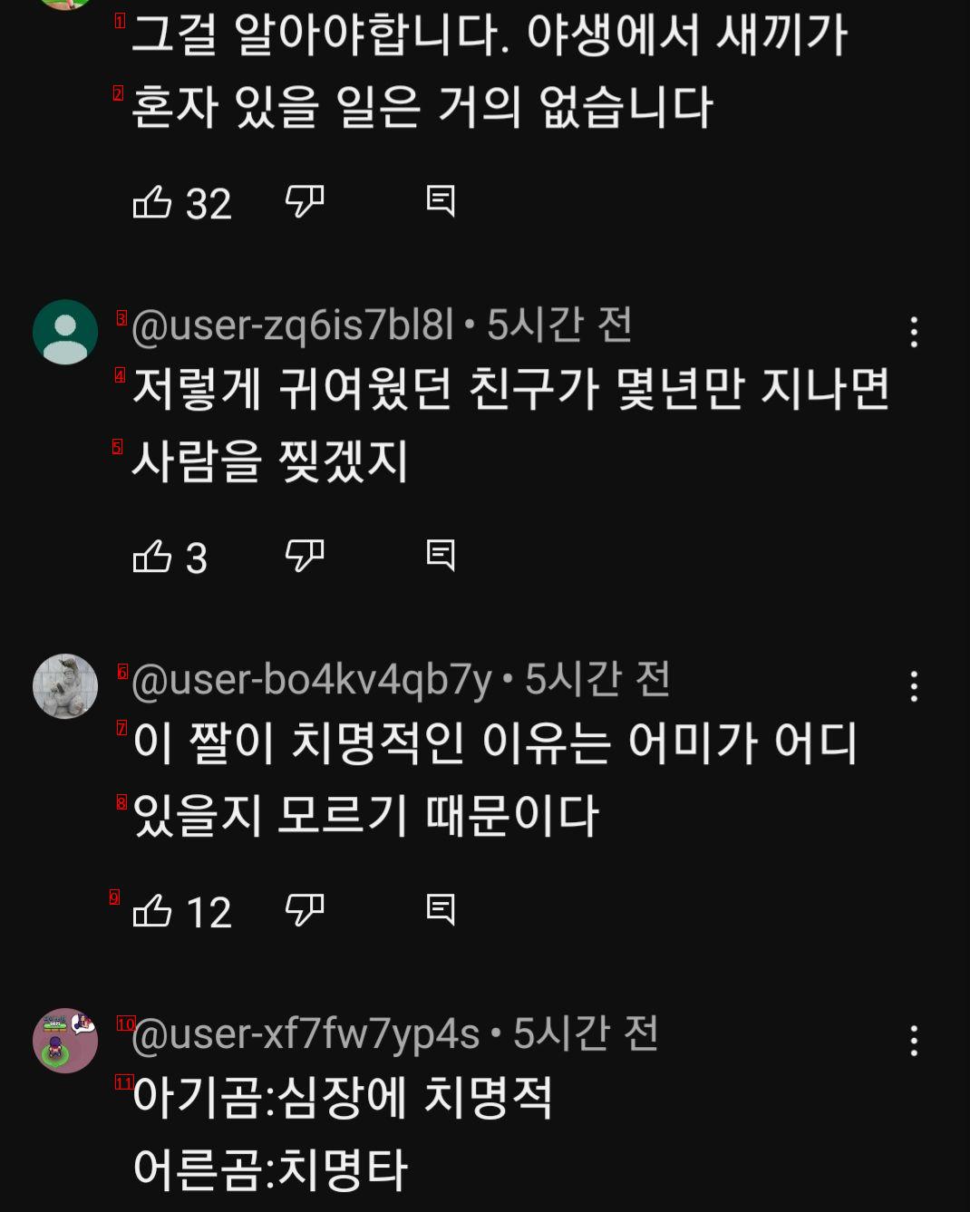 치명적인 아기 곰