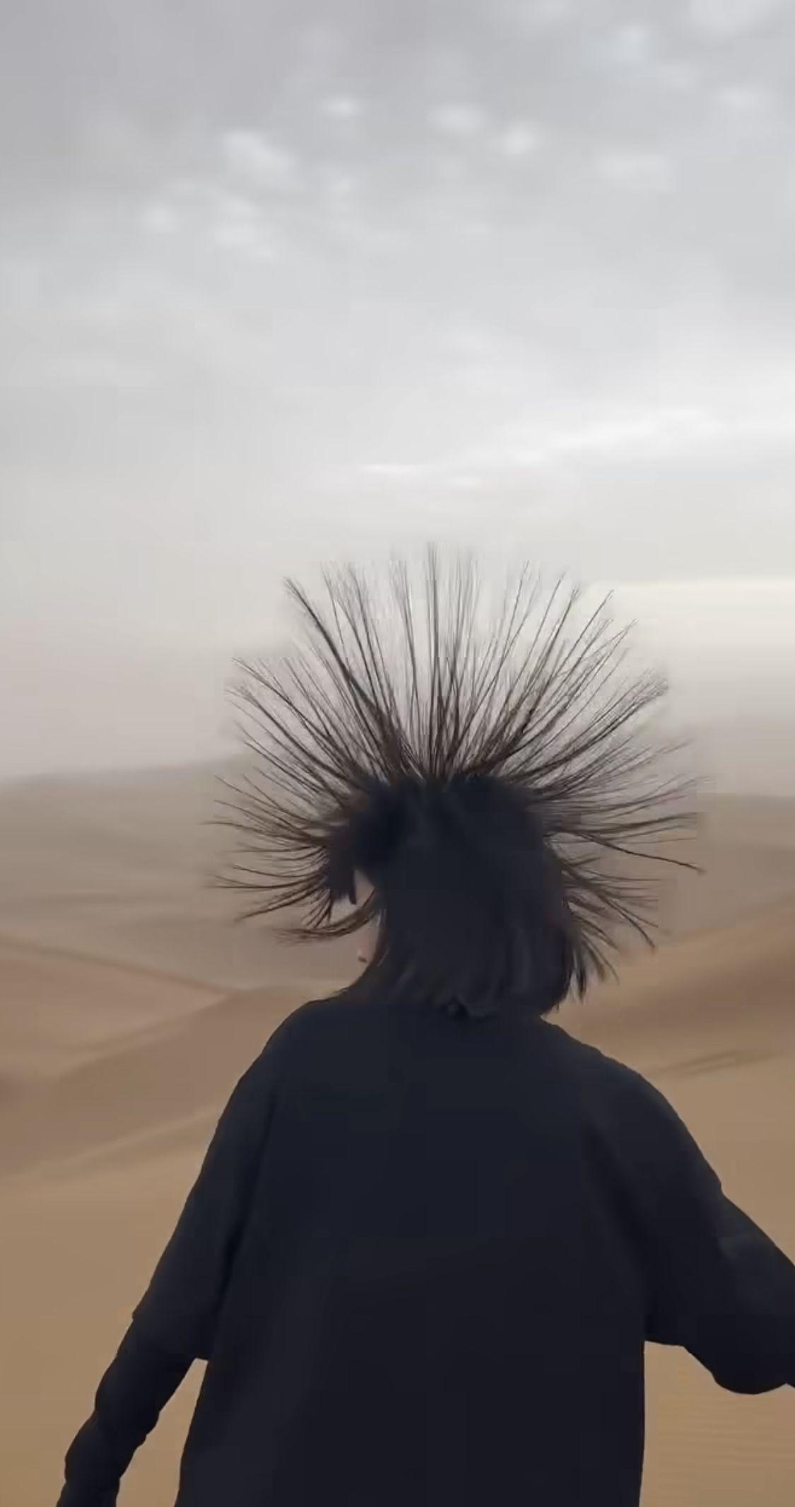 사막에서 머리카락이 솟으면 도망가야하는 이유