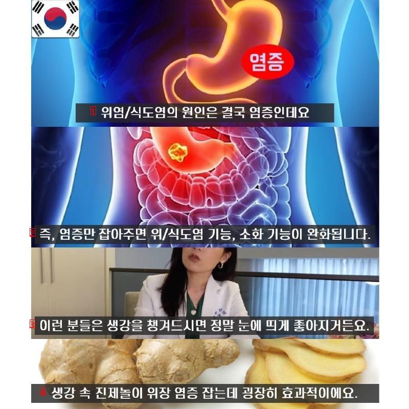 世界中の医師が韓国人に勧めるという食べ物