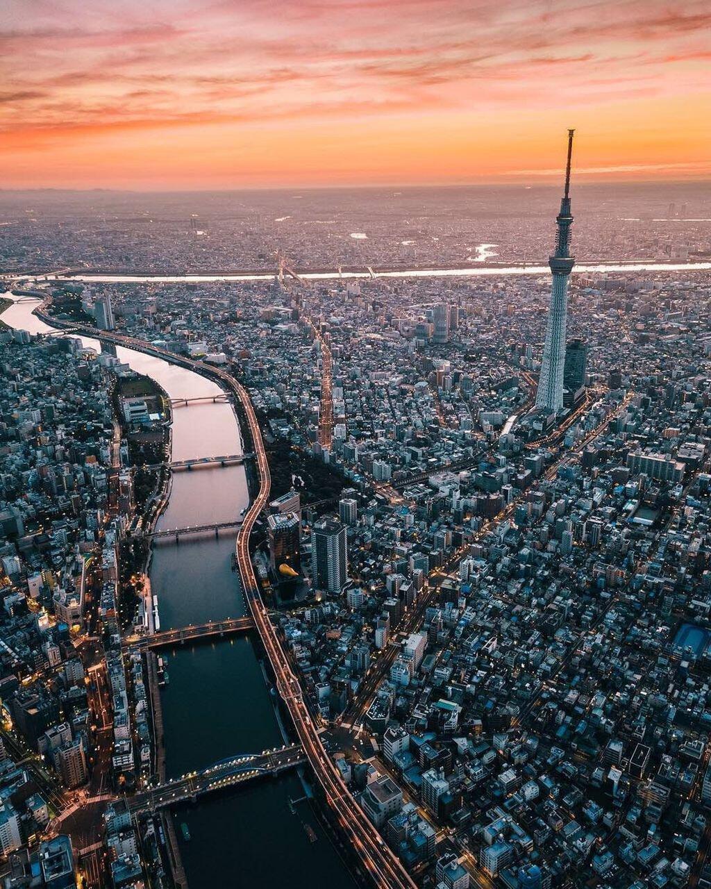 世界の主要都市の航空写真