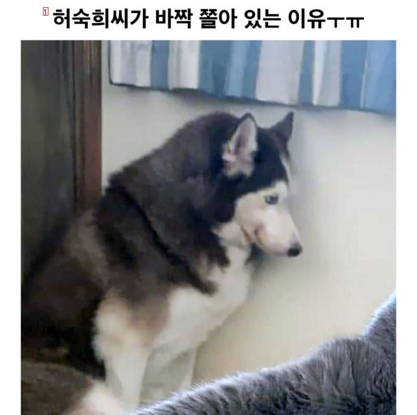 바로 기강 잡힌 허숙희