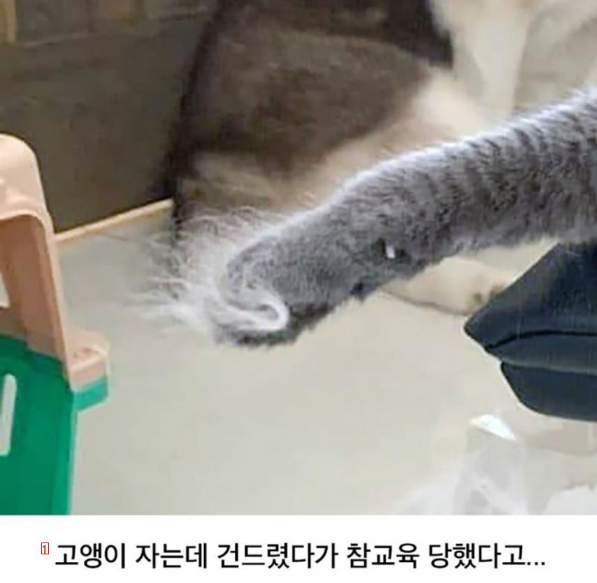 바로 기강 잡힌 허숙희