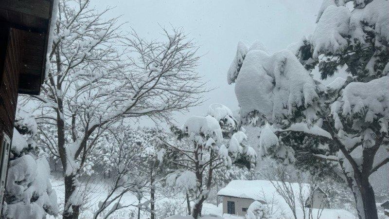 江原山間の近況