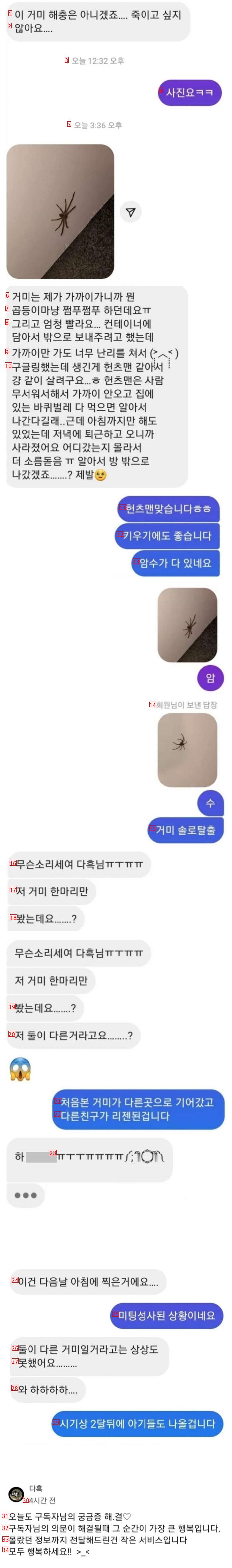 구독자의 궁금증을 해결해주는 유튜버.jpg