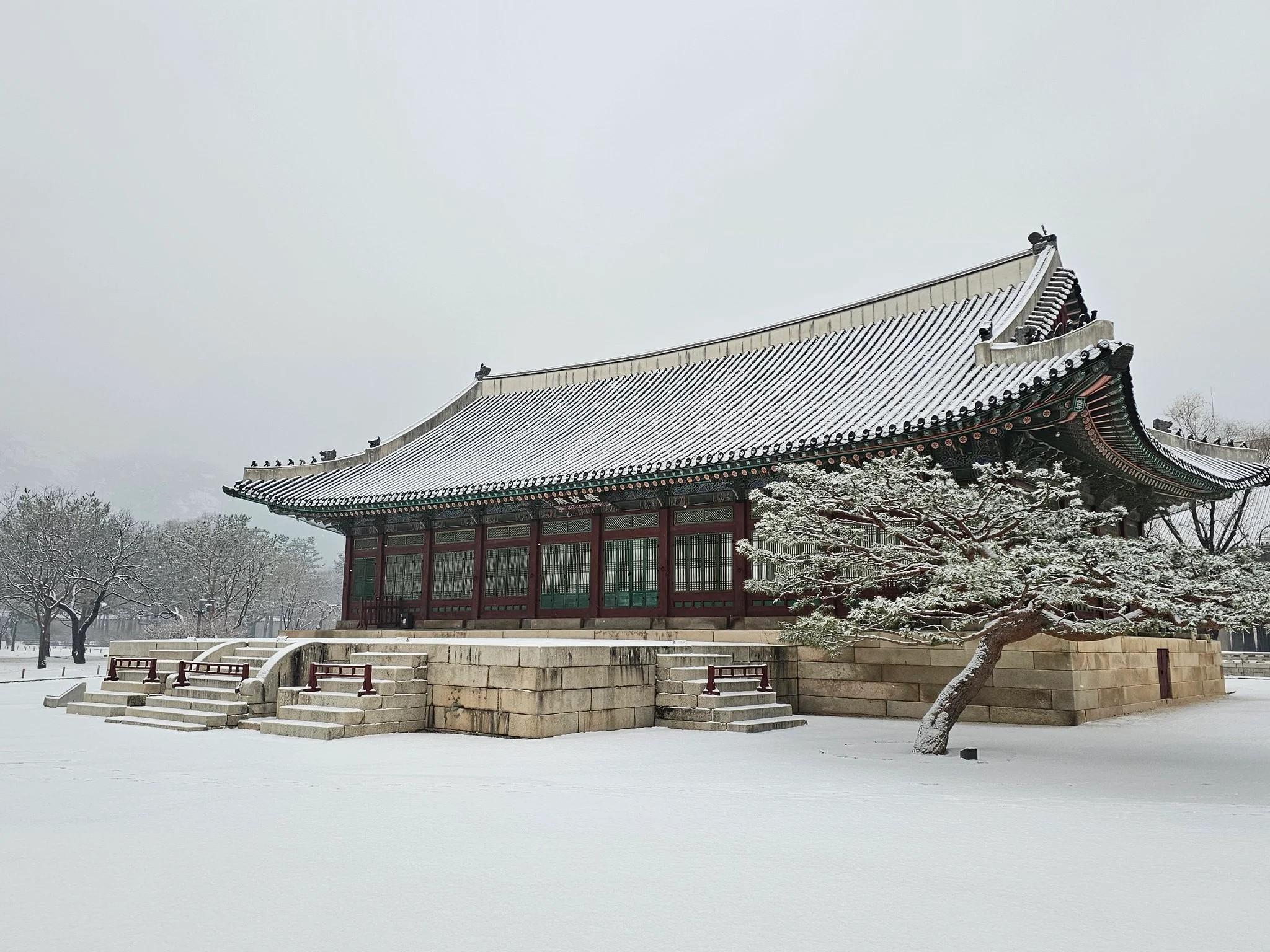 昨日雪が降って興奮した宮殿管理者たち