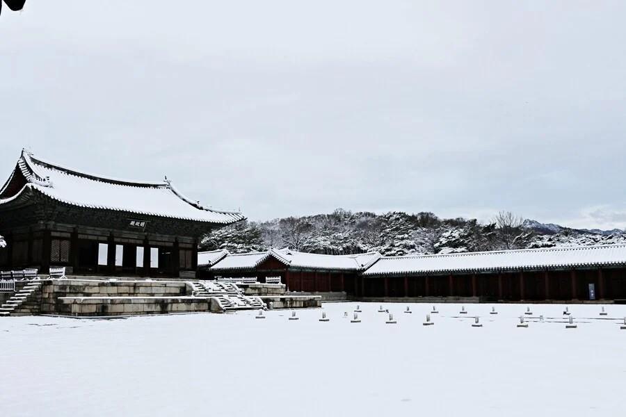 昨日雪が降って興奮した宮殿管理者たち