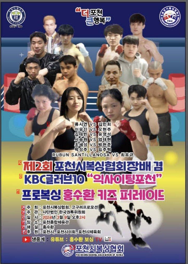 충격적인 2024년 한국 복싱 포스터