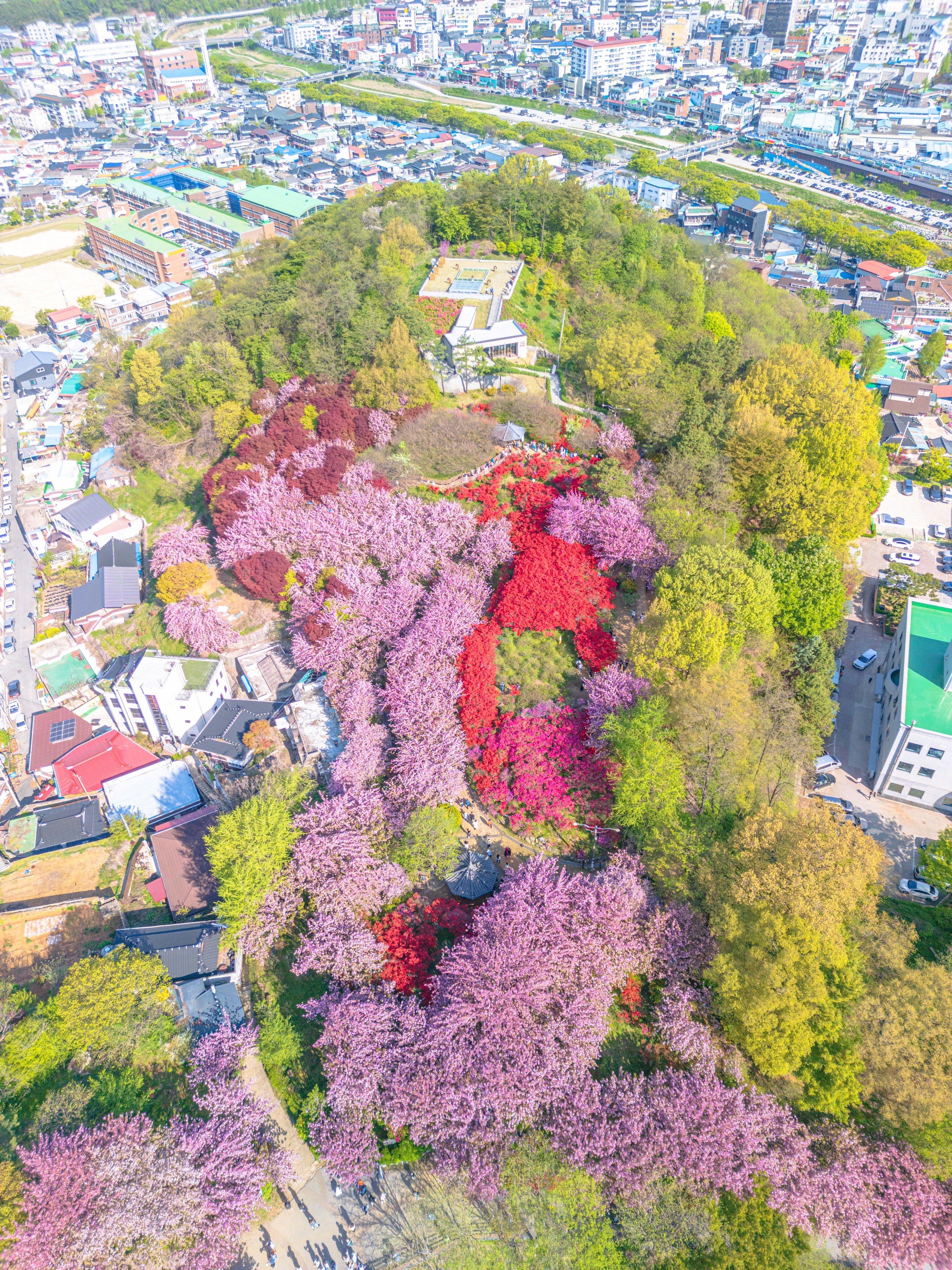 전주 완산칠봉꽃동산