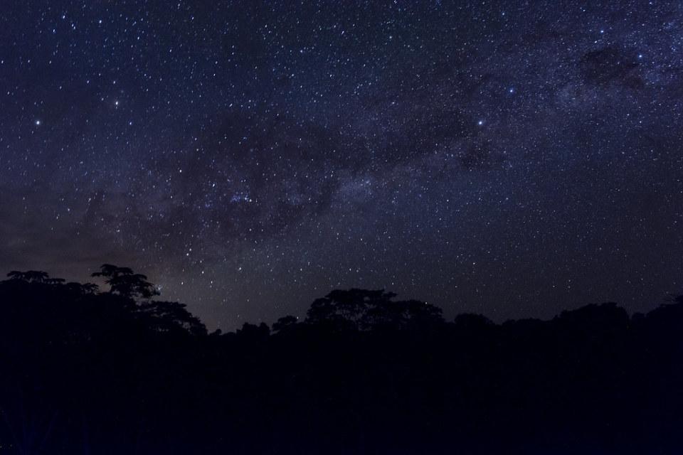 아마존의 밤 하늘