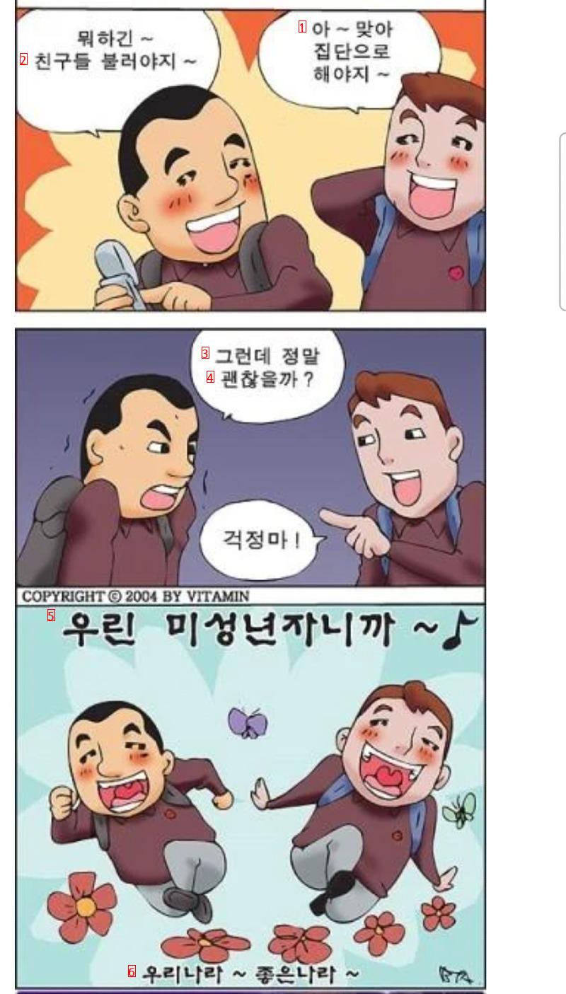 한국법을 풍자한 만화