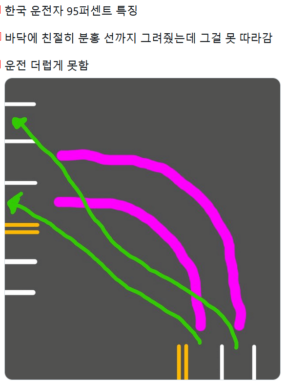 한국 운전자의 95% 특징