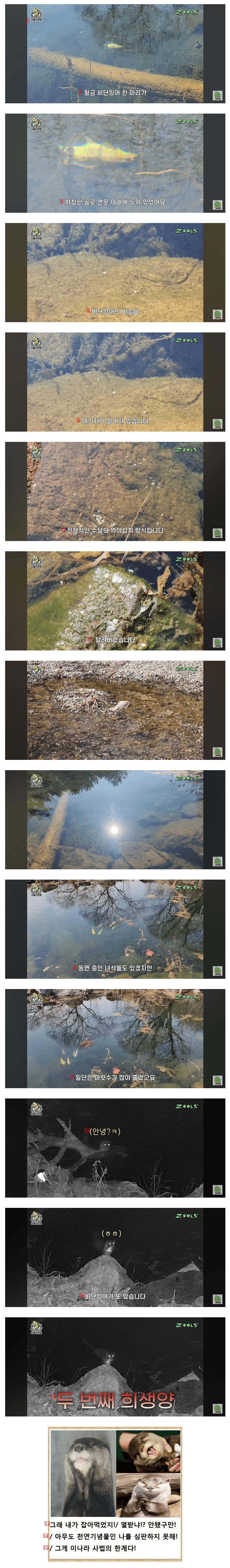 산속에 연못 만들어서 컨텐츠 진행하던 유튜버