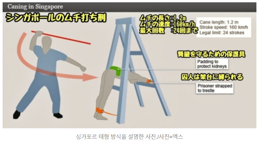 国内導入が緊急です。 「ㅡ」