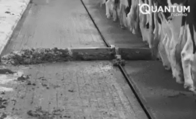 약혐)축산 자동화시스템