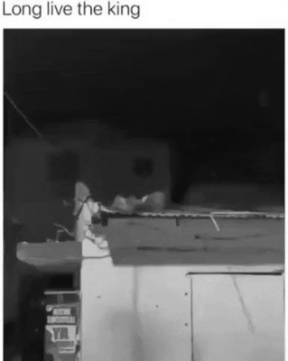 왕이여, 만수무강 하소서.gif