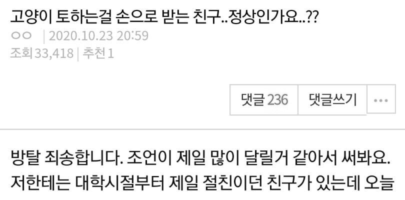 고양이 토하는걸 손으로 받는 친구.정상인가요?.판