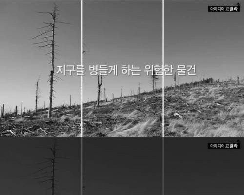 플라스틱 수저를 대체할 먹는 수저