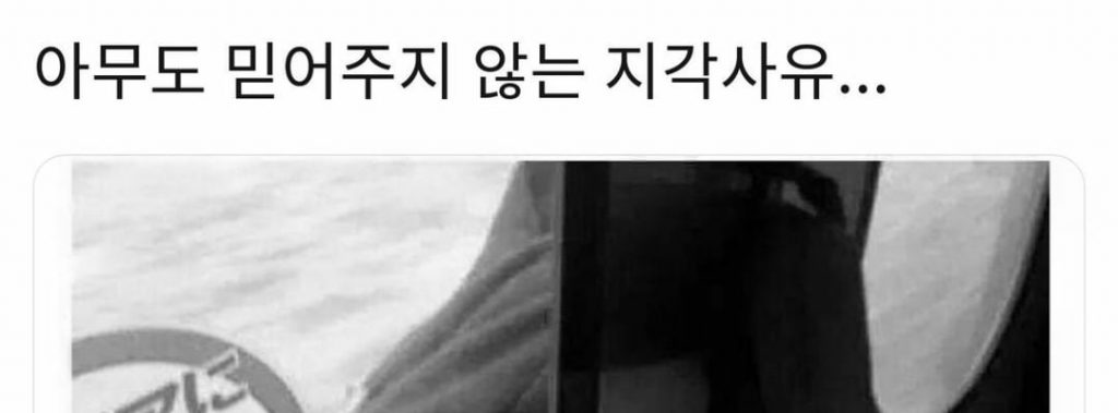 아무도 믿어주지 않는 지각사유