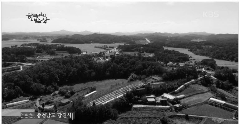 노부부의 호박 밥상