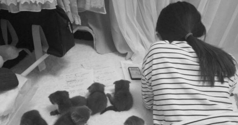 맹수에게 등을 보이면.jpg