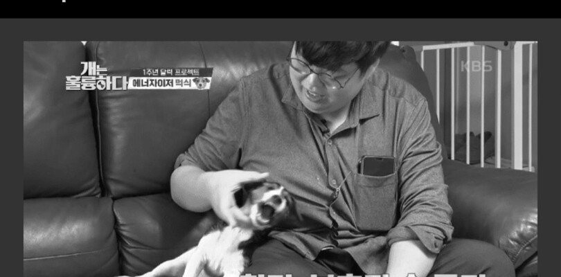 KBS ‘개는 훌륭하다’ 나와서 조언 받고 40kg 빠진 반려견 주인.jpg