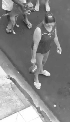 댕댕이가 사람 손 물고 난리치는 이유