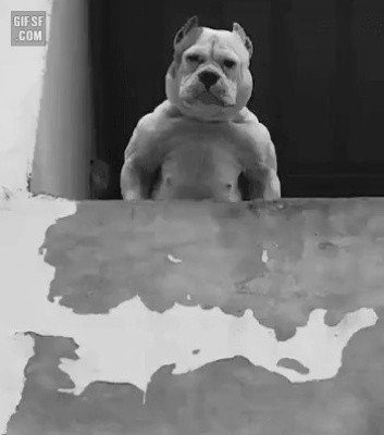 ???:맨날….지..혼자만…산책…가고…(울먹울먹)