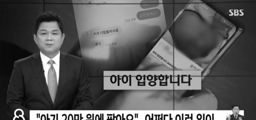 아기 20만원에 팔아요