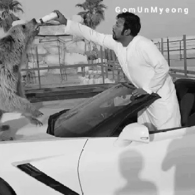 차에 스크래치나는거 신경안쓰는 아랍부자