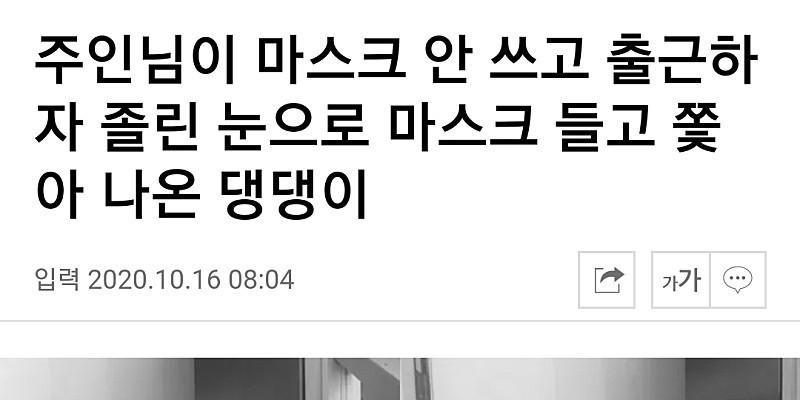 ??? : “아 맞다 마스크”