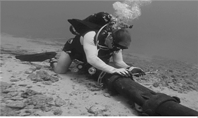 올라올 때마다 진짜냐고 묻는 댓글 달리는 글