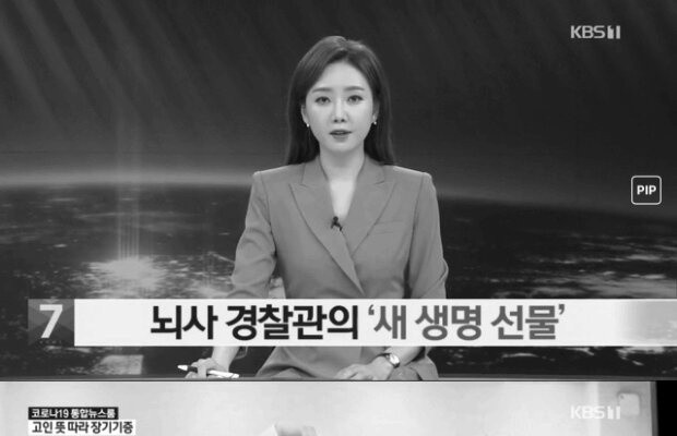 음주운전차에 치인 경찰 뇌사판정 장기기증 후 하늘나라로…