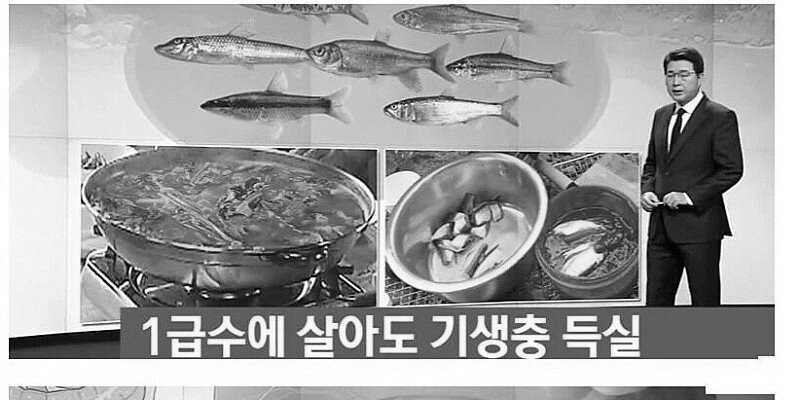 1급수에 사는 물고기를 먹으면 생기는 일