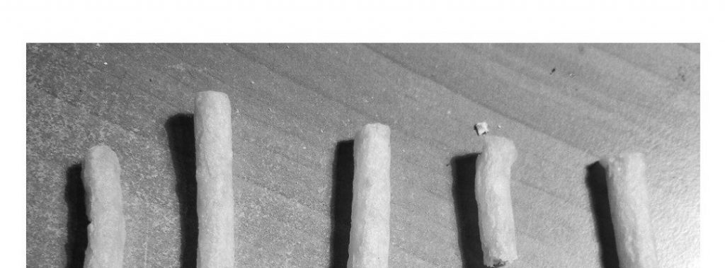 과자로 알아보는 골절의 종류