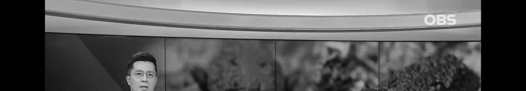 미국에 서식하는 딱정벌레.jpg