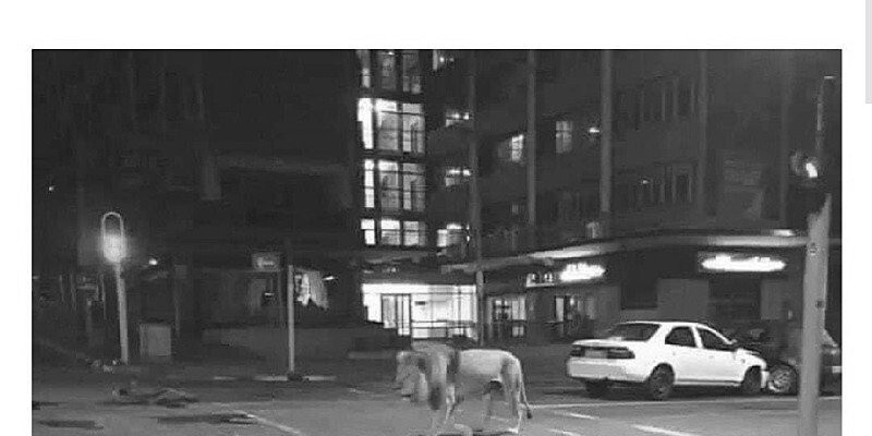 어휴 제발 백수새끼들은 밖에 나다니지마라