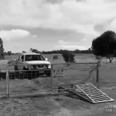 배수구에서 들리는 사람 목소리