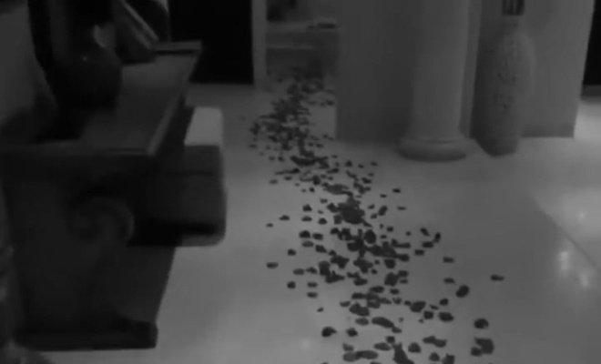 아내 빤스 벗기는 남편