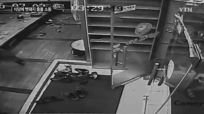 “알라딘의 램프 1억원에 팝니다.”