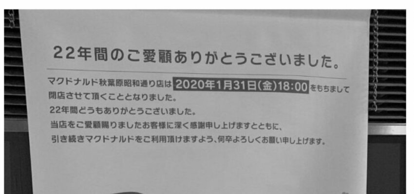 주인아 운동하니??