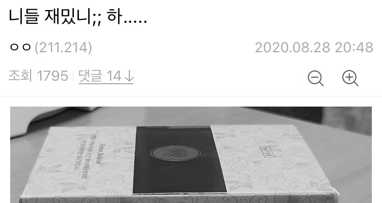 고양이 처음 키워보는 순수한 친구 썰.txt