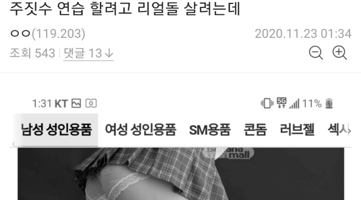 후방)리얼돌 구매목적 레전드