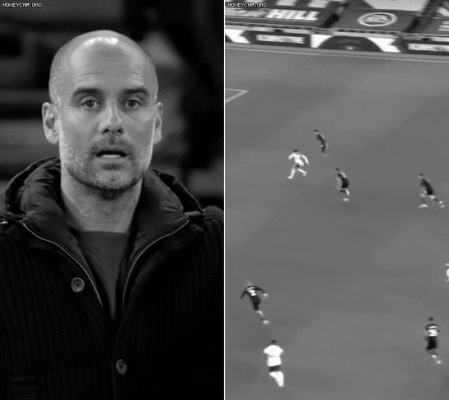 꿀벌 사체가 매일 수백마리 발견되는 가정집