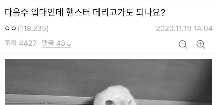 개그맨 김준호의 CEO 인사법