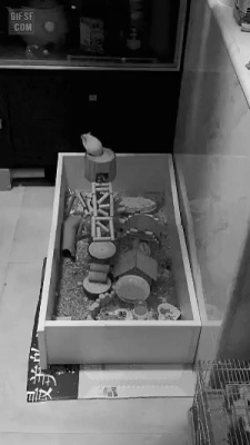 대기업 계열, “2년간 타이어휠 고의 회손