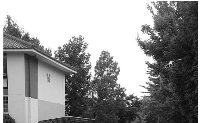 차두리가 인스타에 올렸던 짤